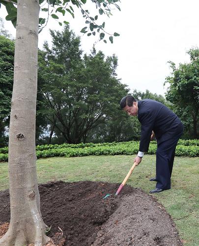 2012年12月7日至11日，習近平在廣東省考察工作。這是8日上午，習近平在深圳蓮花山公園種下一棵高山榕樹。新華社記者 蘭紅光 攝